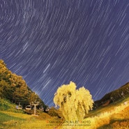 [별이있는밤 #1] 양지파인리조트 별 궤적 (밤하늘별사진)