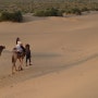인도 라자스탄 자이살메르 사막에서의 낙타 사파리