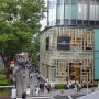 일본 도쿄 자유여행 추천 -우리나라 가로수길 같은 '오모테산도'둘러보기