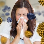 알레르기성 비염 증상과 치료법