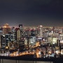 오사카여행 3박4일 3일차 우메다 햅파이브 + 공중공원