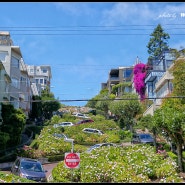 Wild Wild West(Cable Car, Alcatraz, Russian Hill, Palace Of Fine Arts, Pier '39, Twin Peaks)