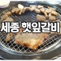 세종 고기먹으러 햇잎갈비 갔다왔어요~^^ / 세종 고기맛집 햇잎갈비 / 세종시 맛집 햇잎갈비 / 햇잎갈비 세종시점