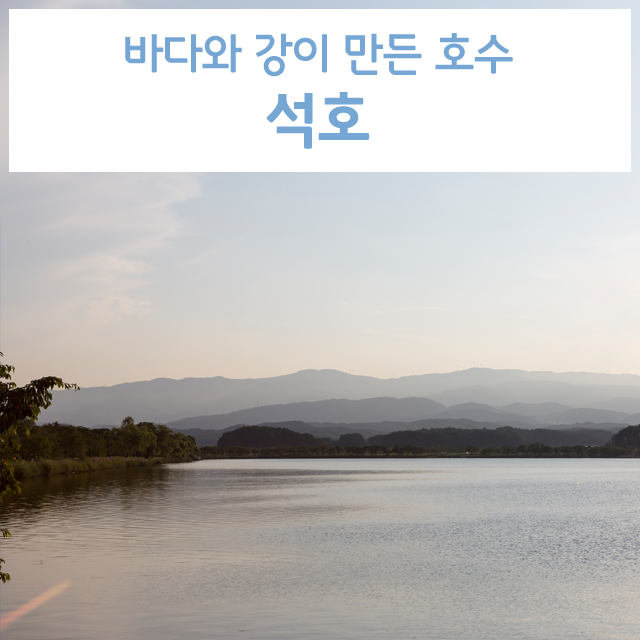바다와 강이 만든 신비, 자연호수 ‘석호’ : 네이버 블로그