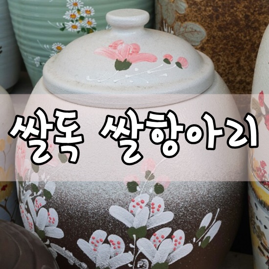 [쌀독 / 쌀항아리] 쌀벌레는 이제 안녕~!! : 네이버 블로그
