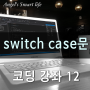 c언어 switch case문 / 선택 제어문 - 코딩 강좌 13
