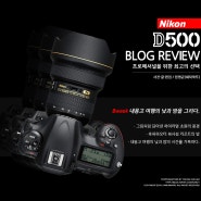 [Nikon D500 Review] 8Week - 내몽고 여행의 낮과 밤을 그리다.