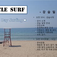 [ONE DAY SURFING ] 하루종일 서핑을 할 수 있는 원데이 서핑~~!!