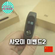 [중국] 샤오미 미밴드2 사용기 / 스마트밴드 / 대륙의 실수