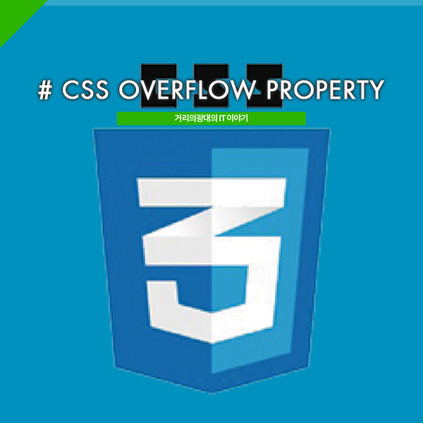 # CSS overflow Property : 네이버 블로그