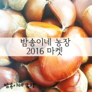 [2016 마켓 오픈] 밤송이네농장 맛있는 밤 판매합니다!!!