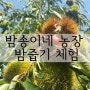 2016 밤송이네농장 밤줍기 체험 안내
