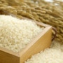 쌀 보관 관리법, 365일 햅쌀처럼 보관해요