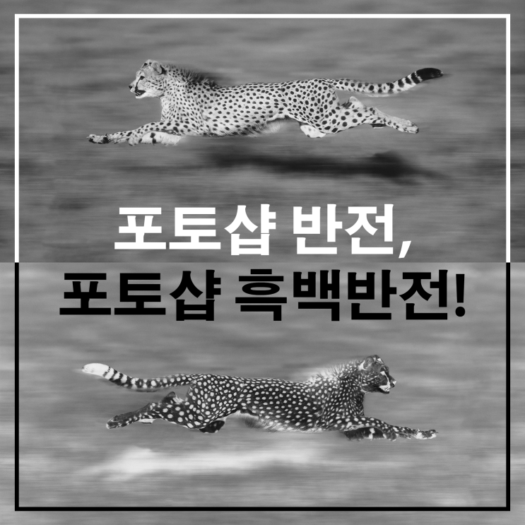 포토샵 반전, 포토샵 흑백반전! : 네이버 블로그