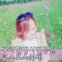 구리한강시민공원 코스모스축제 깨알TIP / 갤럭시노트7