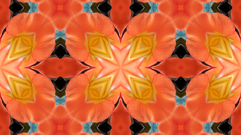 Effect > Stylize > CC Block Load _ CC Burn Film _ CC Glass _ CC HexTile ...