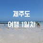 제주도 여행 1일차 - 협재 해수욕장, 통큰 해물라면, 오설록