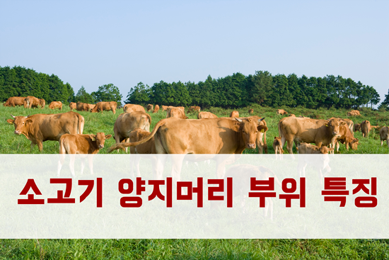 소고기 양지머리 부위 특징 : 네이버 블로그