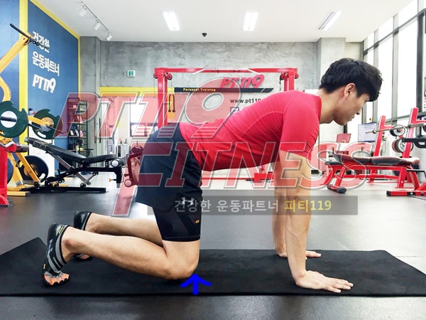 [Crawling Position] 네발로 기기 : 네이버 블로그