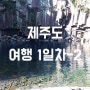 제주도 여행 1일차 - 천제연 폭포, 용머리 해안, 해안도로