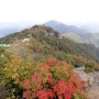 용문산 등산(용문사 ~ 마당바위 ~ 용문산 코스)