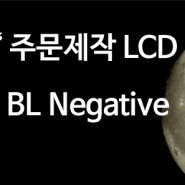 Custom Mono LCD Negative Without Backlight에 대한 고찰.