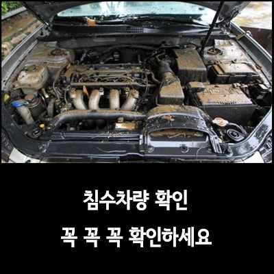 markdown-image