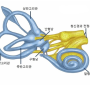 귀와 관련된 어지럼증