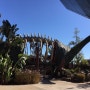 Science Center 공룡탐험
