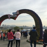 2016 여의도 벚꽃 마라톤(10km)