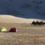 몽골 고비사막