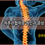 척추관협착증 원인과 증상