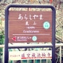 11월 아라시야마,기요미즈데라 (가을여행,오사카,교토,아라시야마,기요미즈데라,간사이여행)