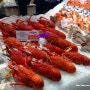 [시드니 볼거리] 피쉬마켓(Fish Market)