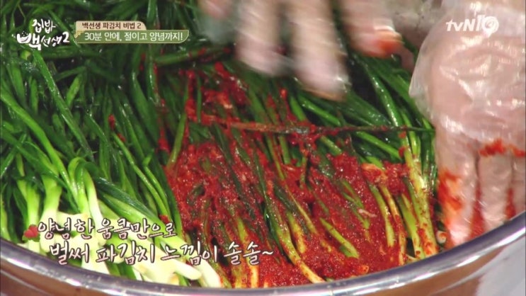 파김치 황금레시피 : 백종원이 알려주는 김치 담그는법 : 네이버 블로그