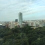 도쿄여행 2일차 하코네온천마을