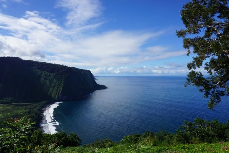 하와이 빅아일랜드 와이피오 계곡 전망대 (Waipio Lookout) : 네이버 블로그