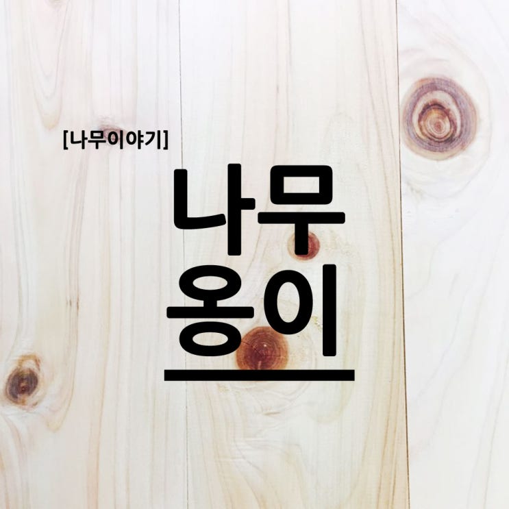 [나무이야기] 나무의 옹이에 대해 알아볼까요? : 네이버 블로그