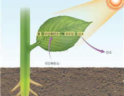 3-1-5. 광전효과와 태양전지(2) : 네이버 블로그