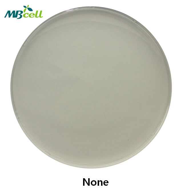 DG18 (Dichloran-Glycerol 18%) Agar MB-D2152 : 네이버 블로그