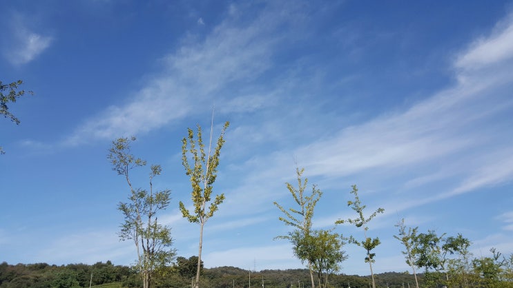 가을 햇볕 쬐기 _ 나른한 아라뱃길 : 네이버 블로그