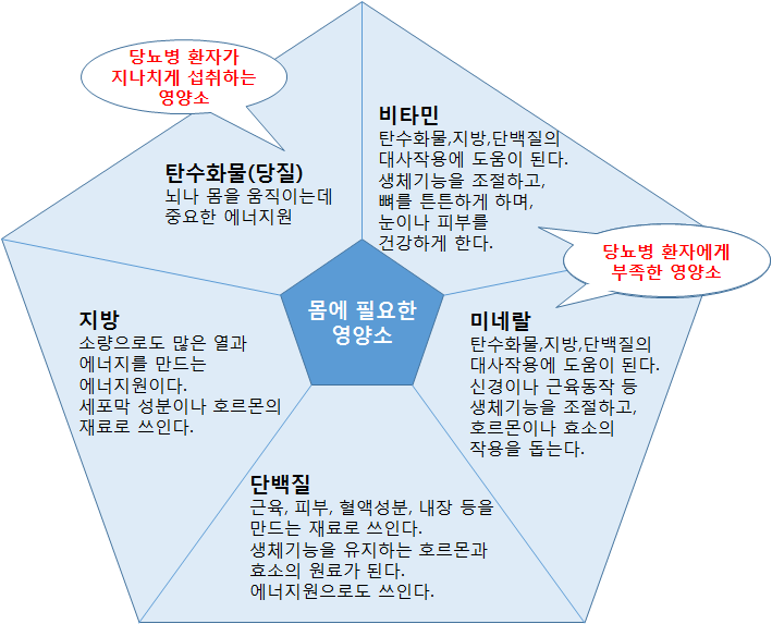 [당뇨] 생명유지에 필요한 5대 영양소 : 네이버 블로그