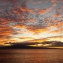 노이드 하와이 자유여행, 마우이 리하이나 항구 일몰 & 루스크리스 스테이크
