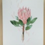 [취미미술] 감성수채화, 꽃 그림 일러스트, 프로테아(protea) 그리기, 수채화일러스트, 연작