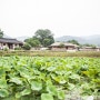 외암민속마을 전경