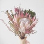 퀸 프로테아, 꽃이 참예뻐요~ , 설렘설렘한 꽃 ,프로테아(protea) 꽃말