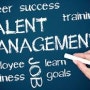 HBR: talent management가 더 이상 효과없는 이유 3