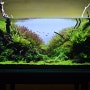 Aquascape by Marcell Prikitiiw