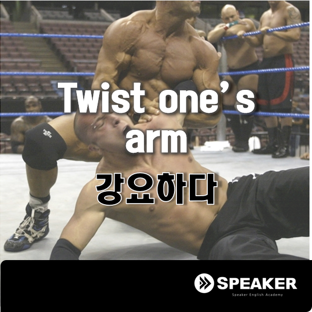 Twist one's arm 강요하다 네이버 블로그