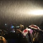 "가을 비 우산 속" 빗 속의 밤의 향연